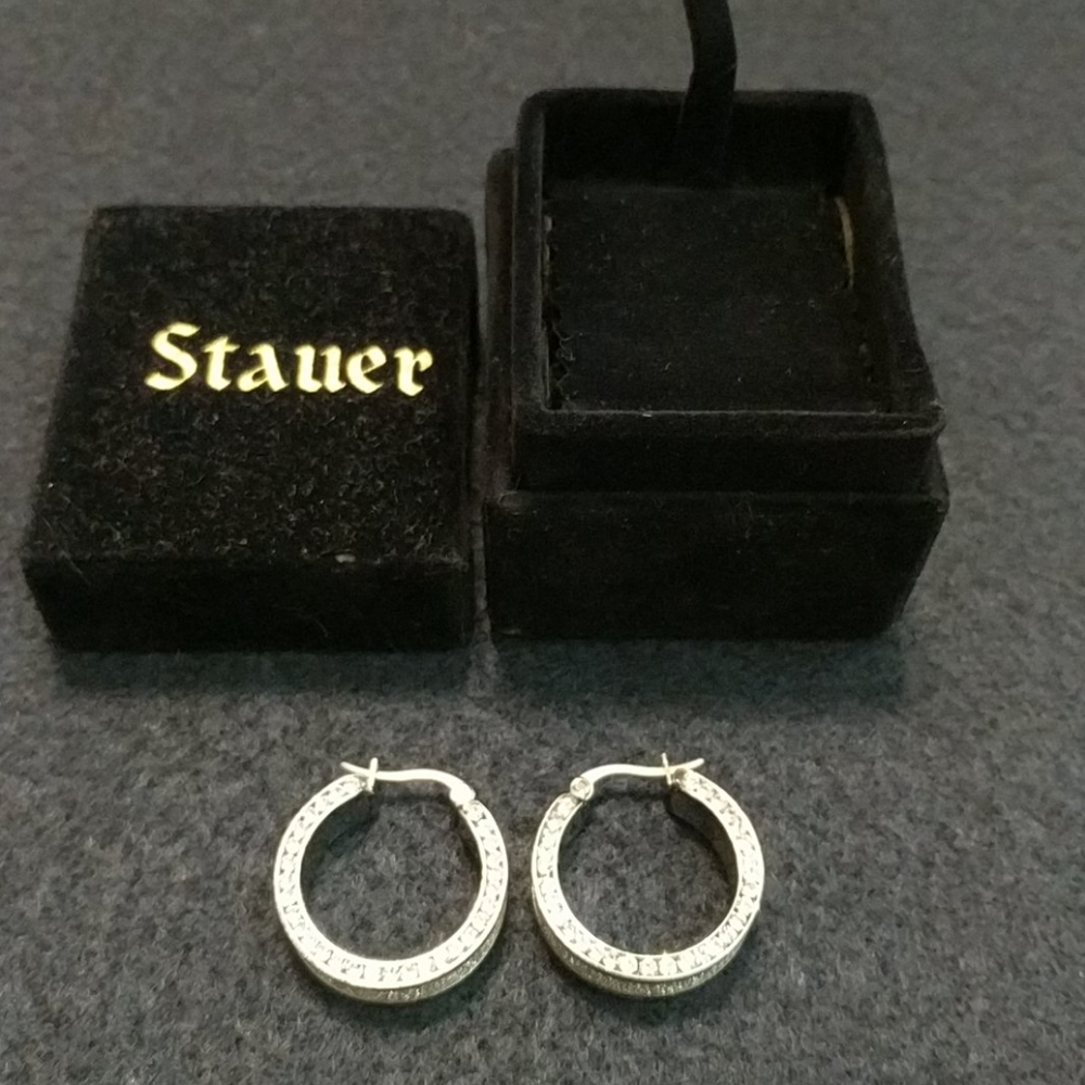 Stauer Stainless Steel Hoop Earrings NEW